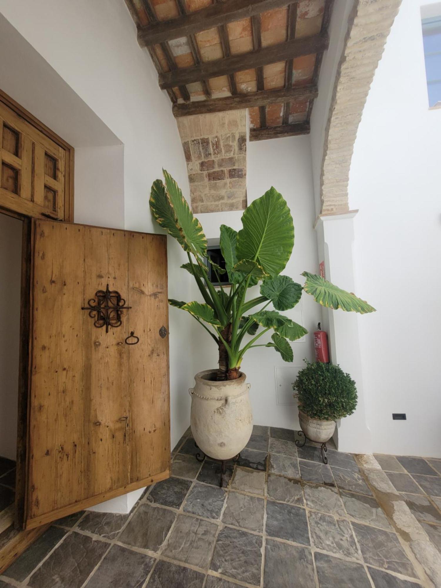 Apartament Casa Del Museo - Agua Medina-Sidonia Zewnętrze zdjęcie